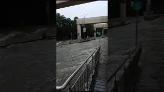 nagpur ambazari  overflow 🌊#nagpur #ambazari