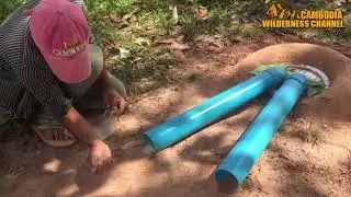 Easy Deep Hole Quail & Bird Trap Using Two PVC Pipe And Plastic Buckets   Awesome Quick Bird Trap