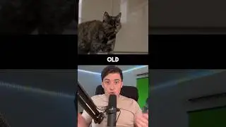 THIS IS THE OLDEST CAT EVER! #Shorts