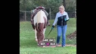 Is this even possible? Can different species of herd animals coexist?