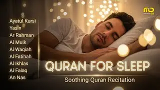 Quran Before Sleep in A Relaxing Voice ✦ Ayatul Kursi, Yasin, Rahman, Waqiah, Mulk By Alaa Aqel