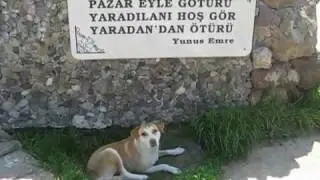 AYVALIK YUNUS EMRE PARKI