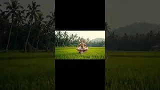 🌺 Kerala&rsquo;s Timeless Heritage 🌺 Classical Dances 🌺 Theatre & Storytelling Traditions 🌺