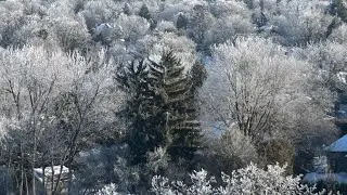 Frozen nature 🥶 ❄️Beautiful but Dangerous ❗️-16&deg;Celsius 