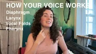 Essential Singing Terminology! MUST KNOW for beginners