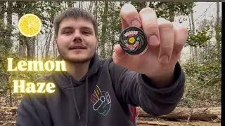 Trying VooDoo Labs! Lemon Haze Dabs