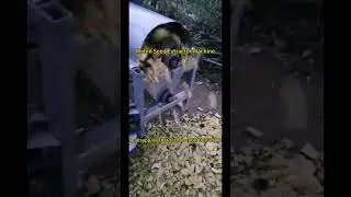 Melon Seed Harvesting Machine in Action | Efficient Pumpkin Seed Extraction! Seed Extractor Machine
