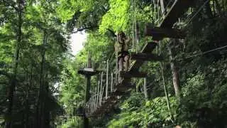 Harpers Ferry Canopy Tour