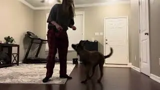 Cricket heeling and first time behind directionals