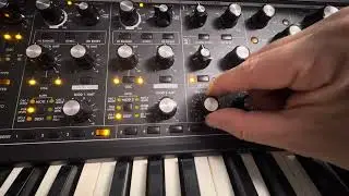 Stephan Bozin - Singularity preset - Moog Sub 37 #moog #sub37