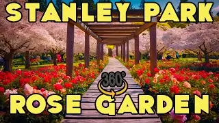 Stanley Park's Hidden Gem: Spring Blossoms & Rose Garden History | 360&deg; Tour!