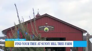 Find your next Christmas tree at Sunny Hill Farm