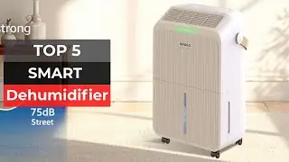 Top 5 : Best Dehumidifiers of 2025