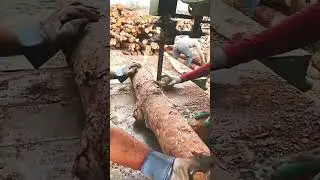 Sawing and Splitting: Firewood Prep Made Easy