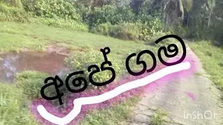 Ape gama.අපේ ගම. DOBIYA Production. Please subscribe us. #longvideo #trending #srilanka #villege