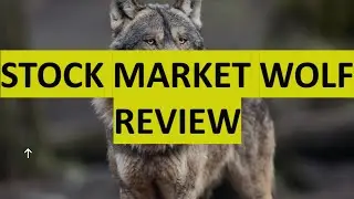 Stock Market Wolf Review (We reveal ALL!)