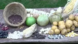 C&oacute;mo Obtener Semillas Org&aacute;nicas - TvAgro por Juan Gonzalo Angel