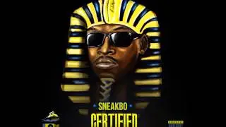 (JETSKIWAVE 2) 3. Sneakbo Ft Moelogo - I Like It | @SwaggieStudios
