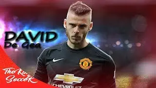 david de gea || perfect saves and clean sheets- manchester united || 2017 || HD