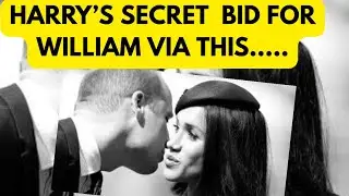 HARRY’S DESPERATE SECRET BID FOR THIS TO WILLIAM #royal #meghan #princeharry 