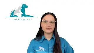 Introducing Jada - Veterinary Nurse