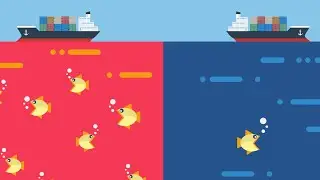 Blue Ocean vs Red Ocean Strategies