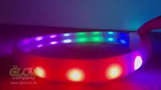 Multi-Function LED Halo - USB Rechargeable