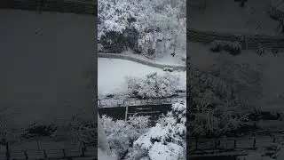 Shorth_03. [4K] 곡_Whispers of a christmas night,  직촬영상, #snowfall