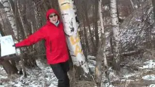 Первое найденное КП