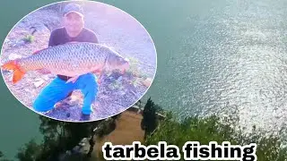 tarbela dam fishing in Pakistan amazing carp fishing 8 November 2020,