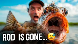 Epic Fishing! BEST Fights & Attacks: Perch, Trout, Pike!