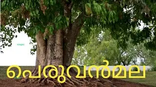 പെരുവൻമല | പെരുമല | Peruvanmala | Perumala | Kechery | Thalakkottukara Village | kingini | anilpn