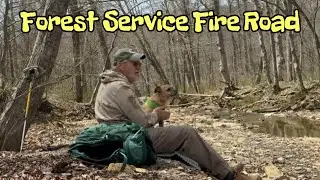 Hoosier National Forest Dispersed Camping and Hiking