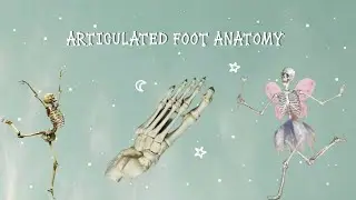 Articulated Foot Anatomy || GoodGirl Sanjida 