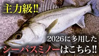 2025のシーバスで主力だったミノーはこちら！