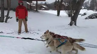 Winter fun at Shanty Creek Resorts