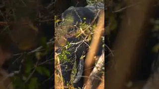 Redemption in Kilombero