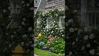 Charming Cottage Garden
