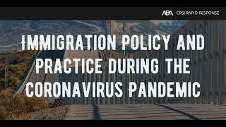 Immigration Policy and Practice during the Coronavirus Pandemic