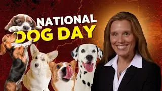 What Causes Canine Stress? - Dr. Erin Perry