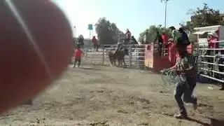 Pollo de palpan vs zombie monta completa