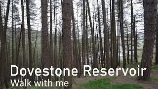 📍 POV Walk Around Dovestone Reservoir | Saddleworth Moors | Nature Sounds & Scenic Views | 4K