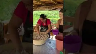 El Pan Casero de Do&ntilde;a Erika Que Se Agot&oacute; en Minutos