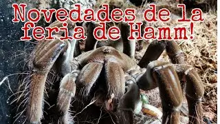 Novedades Bicheras de Terribilis!