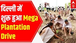 Delhi govt begins mega plantation drive on Environment Day