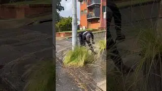 Should Footpaths be kept clean? #asmr #shorts