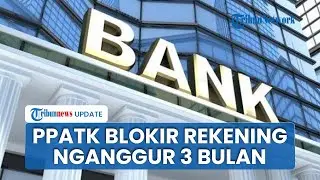 Terungkap Alasan PPATK Bekukan Sementara Rekening Bank yang Nganggur 3 Bulan atau Dormaint