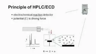 HPLC-ECD.MPG