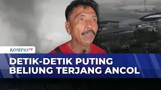 Detik-Detik Puting Beliung di Ancol: Pohon Tumbang & Warga Panik | KOMPAS MALAM
