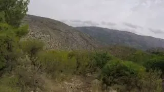 Cocoll-Benigembla